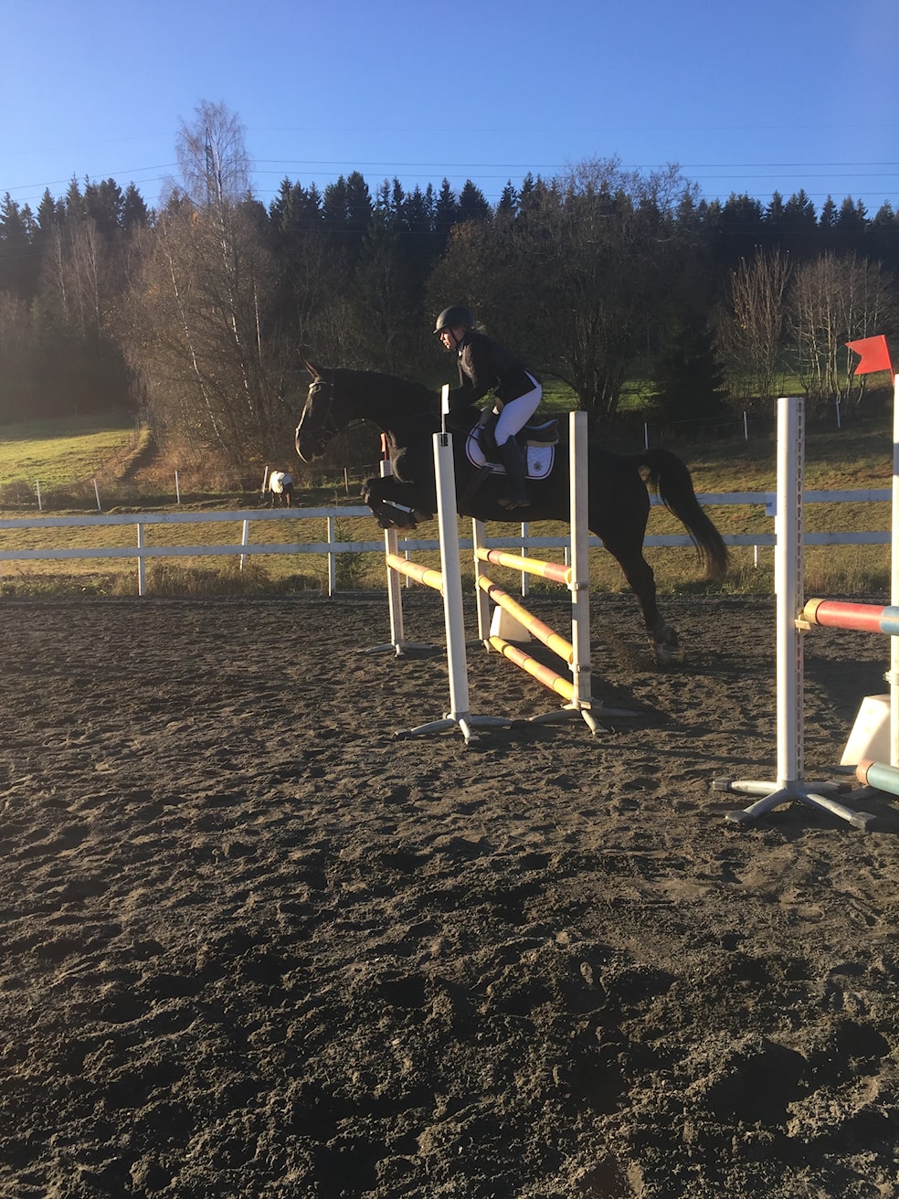 Jubileumsstevne Sprang